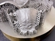 자동 공업적 등급 티타늄 3D 프린터 SLM은 치아 브래킷을 관을 씌웁니다
