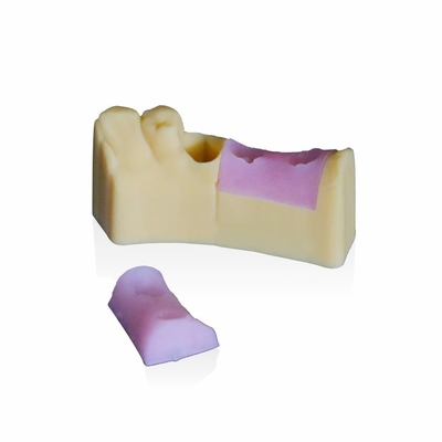 치아 모델 3d 프린터 ASTM D2240을 위한 잇몸 핑크색 수지